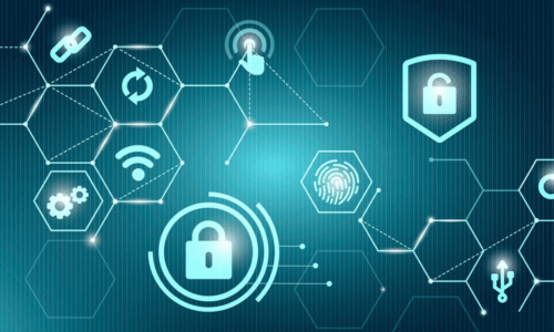 Cyber Security & Law