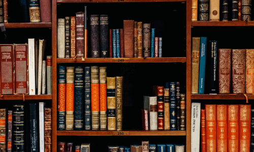 Law – Civil & Criminal